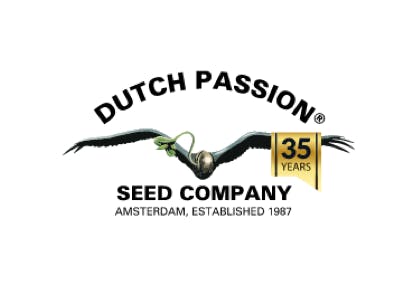 Dutch Passion