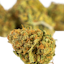 amnesia
