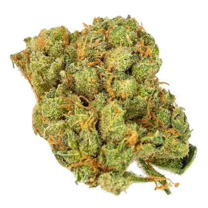 amnesia haze