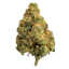 kosher kush