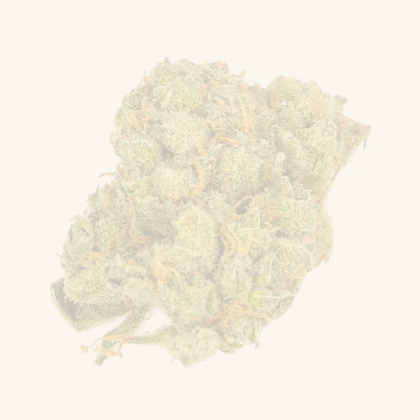 All Coffeeshops In The Netherlands Menu Reviews More Greenmeister All Coffeeshops In The Netherlands Menu Reviews More Greenmeister