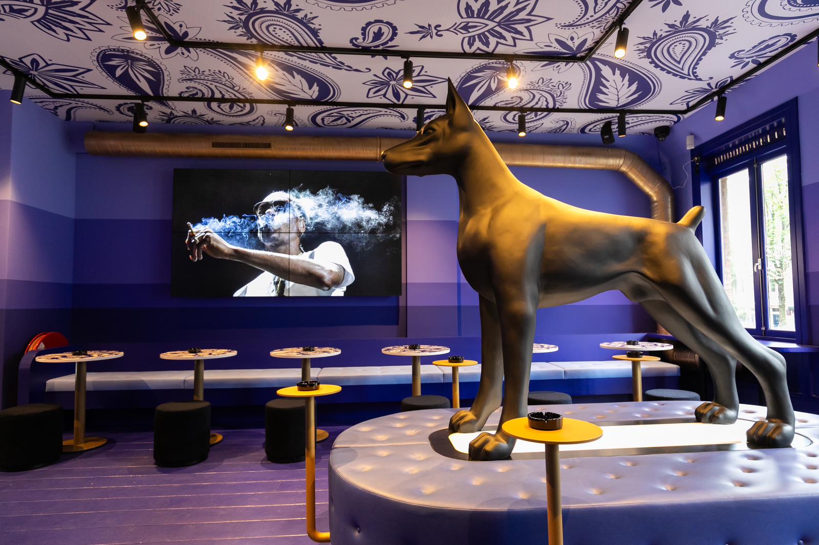 Tha Dogg House a Snoop Dogg Store