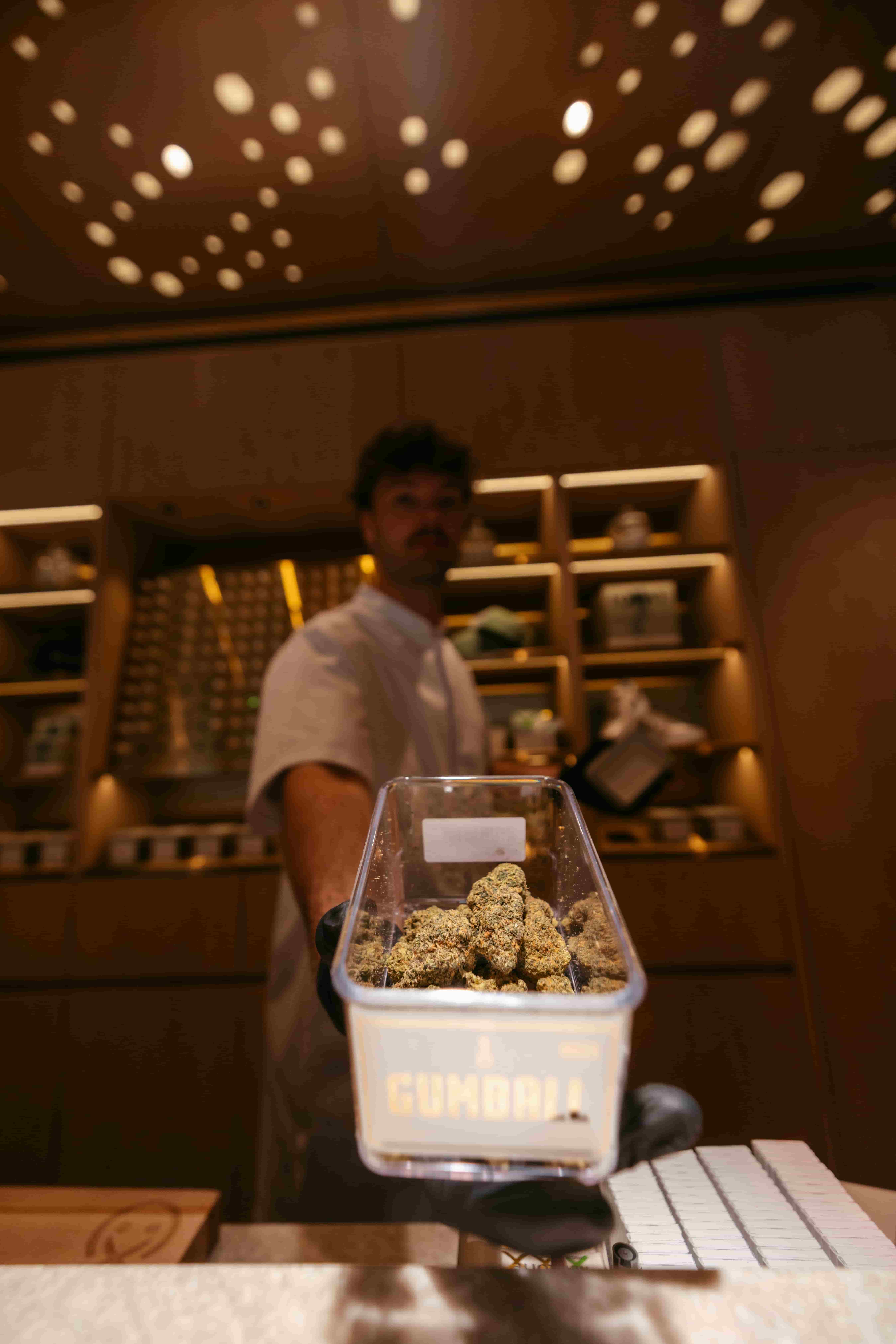 Program Coffeeshop | De Pijp Amsterdam