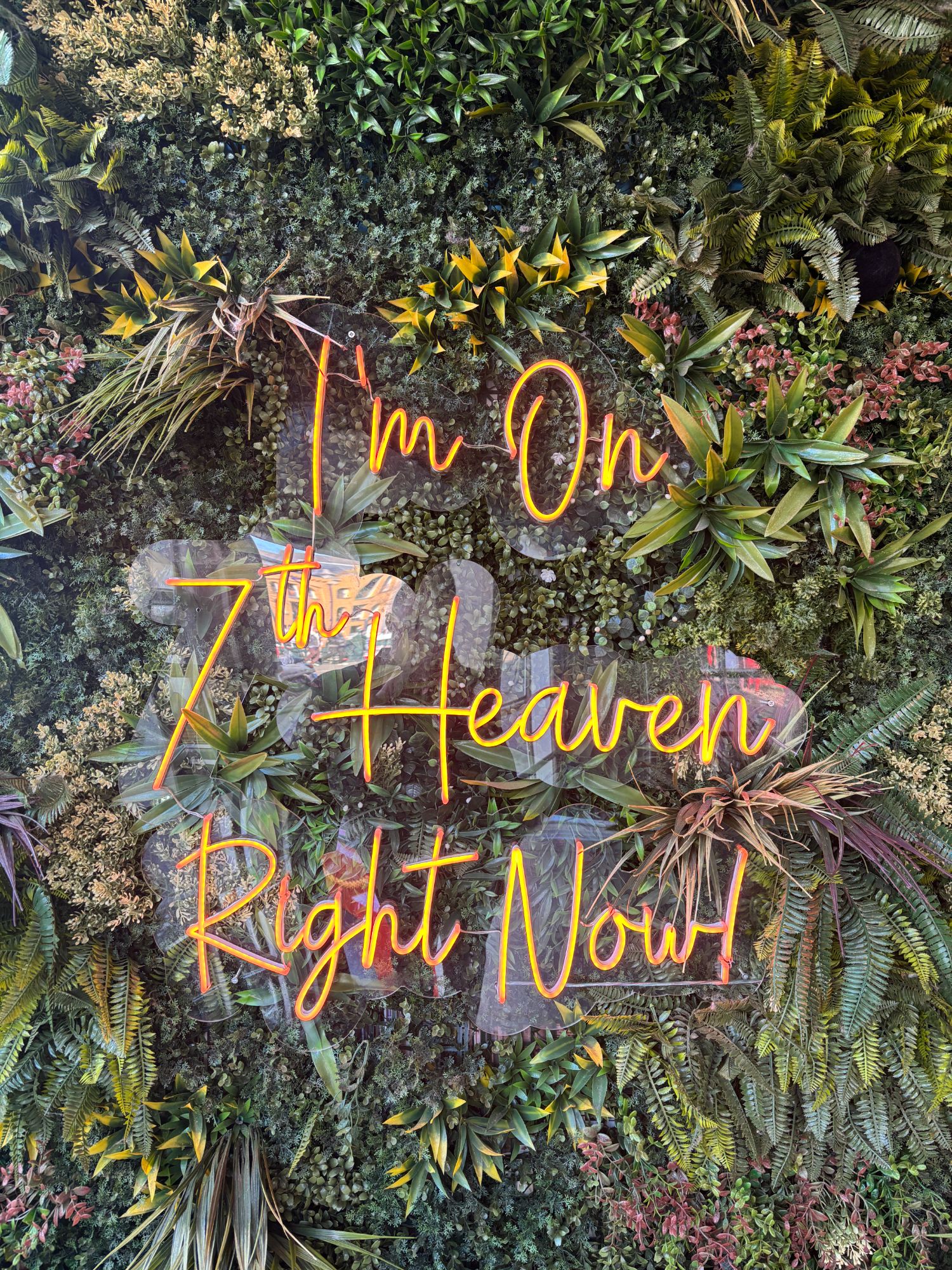 7th Heaven (Coffeeshop 137)