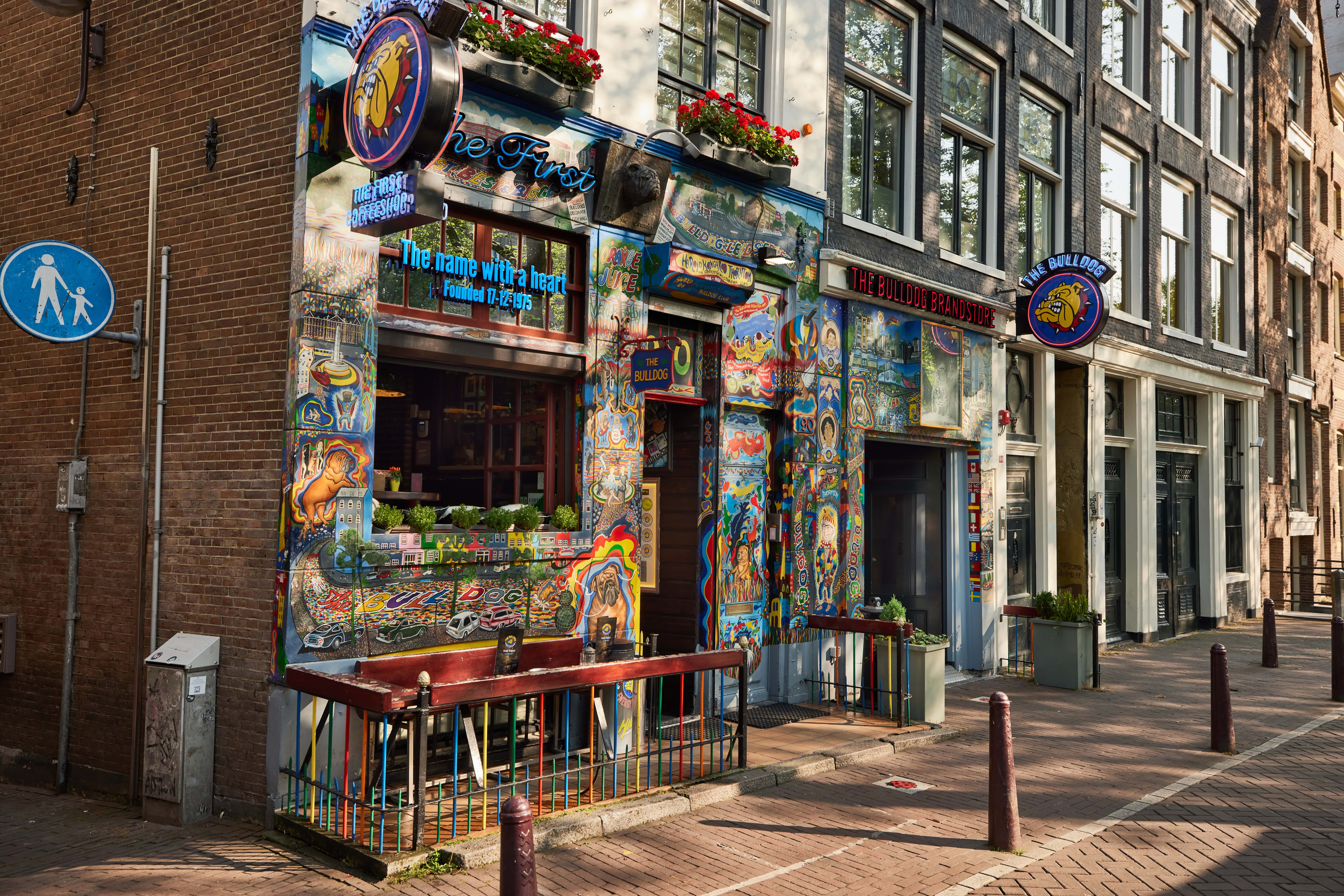 The Bulldog The First