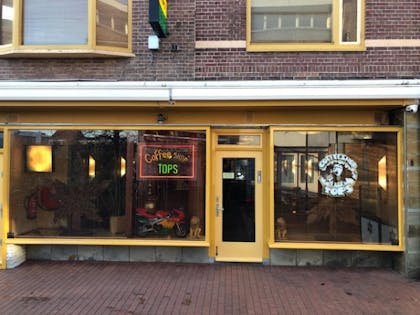 Coffeeshop Tops in Den Helder