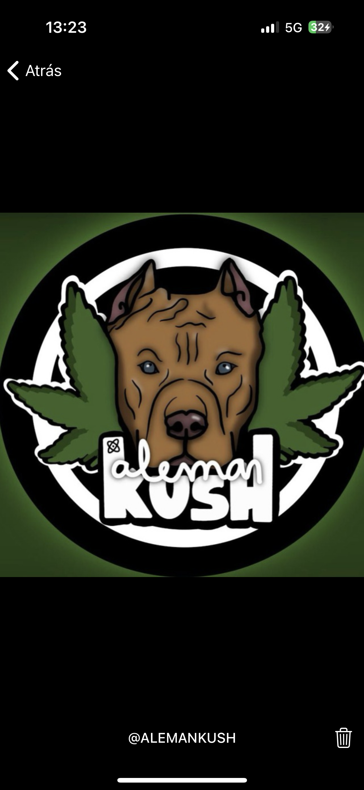 alemankush 