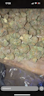 jumpin greenoil